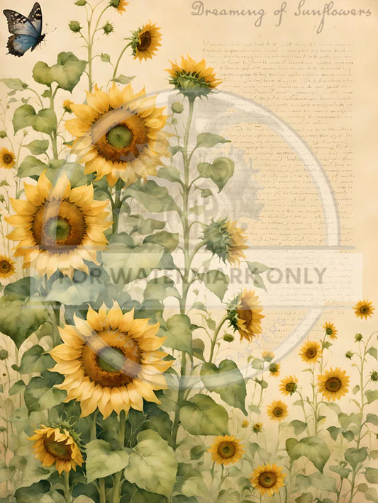 Sunflower Dreamin Rice Paper - Decoupage Central