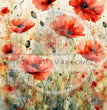 Watercolor Poppies Rice Paper (DC645) - Decoupage Central