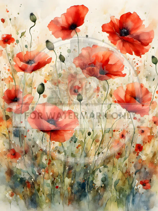 Watercolor Poppies Rice Paper (DC645) - Decoupage Central