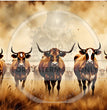The Herd Rice Paper (DC718) - Decoupage Central