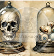 Specimen of Curiosities Rice Paper (DC734) - Decoupage Central