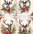 Festive Bucks Quad Rice Paper (DC801) - Decoupage Central