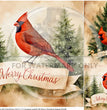 Merry Cardinal Trio Rice Paper (DC838) - Decoupage Central