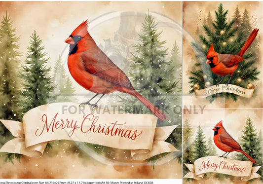 Merry Cardinal Trio Rice Paper (DC838) - Decoupage Central