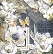 Sugar Magnolia - Decoupage Queen