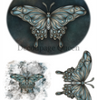 Dainty and the Queen - Hand Drawn Butterfly Rice Paper