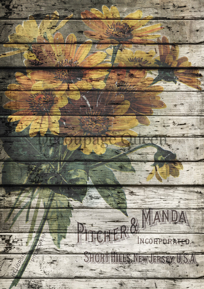 Pitcher & Manda Rice Paper -  Decoupage Queen