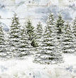 Woodland Trees Rice Paper - Decoupage Queen