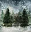 Winter Trees Rice Paper - Decoupage Queen