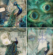 Peacock 4 Pack Rice Paper - Decoupage Queen