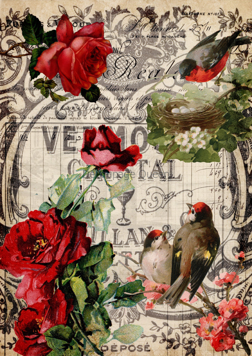 Red Roses & Birds - Decoupage Queen