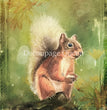 Teresa Rene Art - Woodland Squirrel Rice Paper