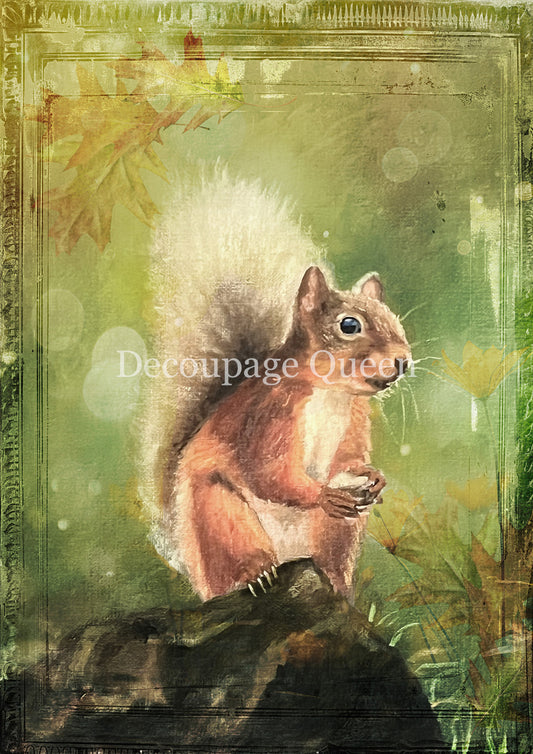 Teresa Rene Art - Woodland Squirrel Rice Paper