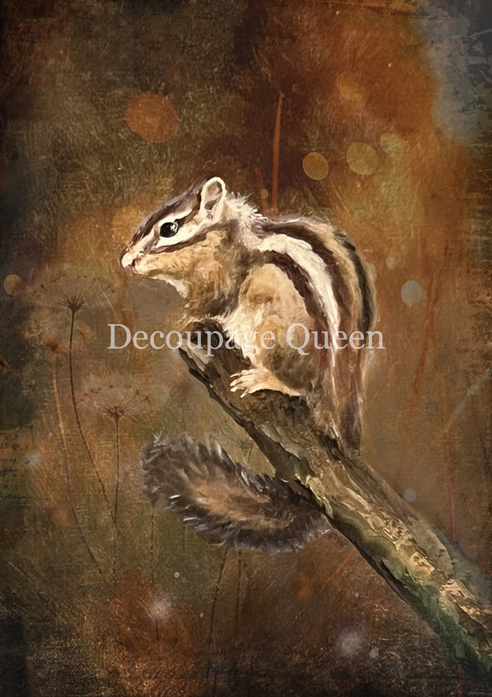 Teresa Rene Art - Resting Chipmunk Rice Paper