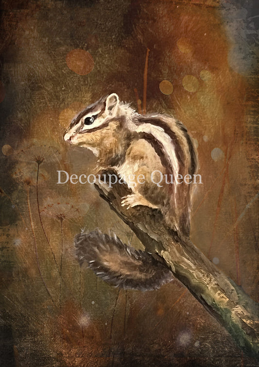 Teresa Rene Art - Resting Chipmunk Rice Paper