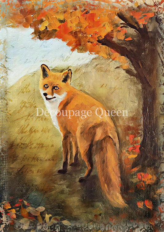 Teresa Rene Art - Painted Fox Rice Paper