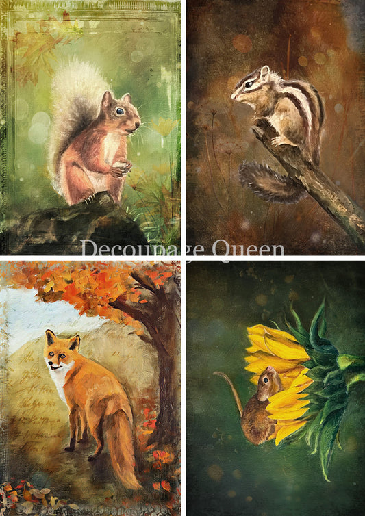 Teresa Rene Art - Woodland Creatures Four Pack Rice Paper