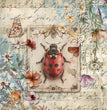 Iveta Ziendina - Ladybird Rice Paper