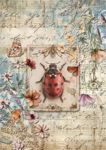 Iveta Ziendina - Ladybird Rice Paper