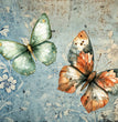 Iveta Ziendina - Together Rice Paper