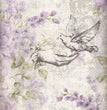 Iveta Ziendina - Dove Rice Paper