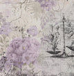 Iveta Ziendina - Herbal Medicine Rice Paper