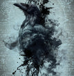 Olga Heldwein - Raven