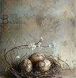 Spring Eggs-cellence (#ID533) Rice Paper - Milky Valley