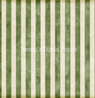 Moss & Cream Stripes Tissue Paper - Flippin Furniture