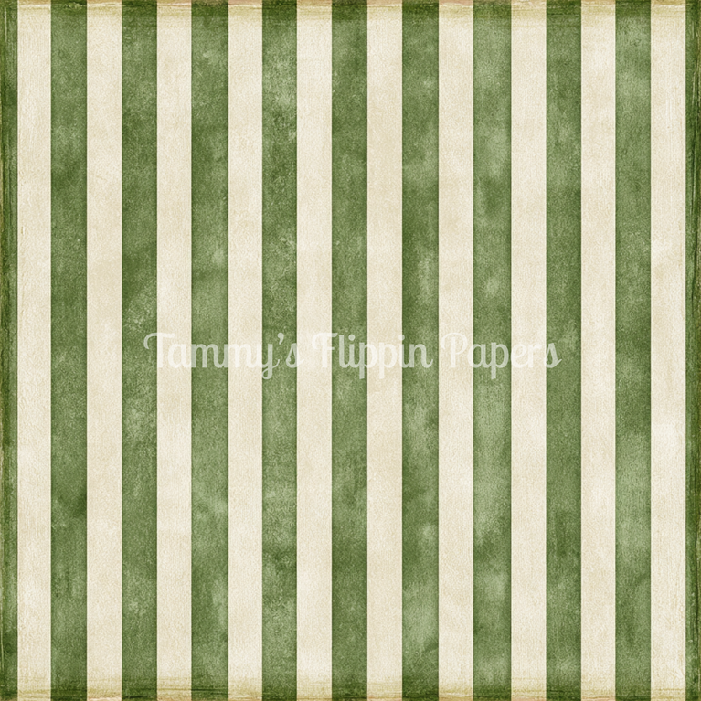 Moss & Cream Stripes Tissue Paper - Flippin Furniture