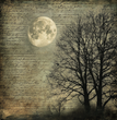 Nocturnal Notations Tissue Paper - Flippin Furniture