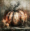 October Romance Tissue Paper - Flippin Furniture