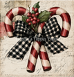 Peppermint Wishes Tissue Paper - Flippin Furniture