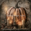 Pumpkin Vigil Tissue Paper - Flippin Furniture