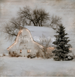 Country Christmas Barn Tissue Paper - Flippin Furniture