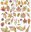 Autumn Leaves (2120) Rice Paper- ITD Collection