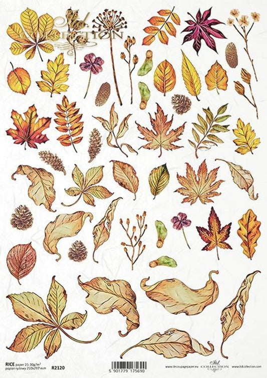 Autumn Leaves (2120) Rice Paper- ITD Collection