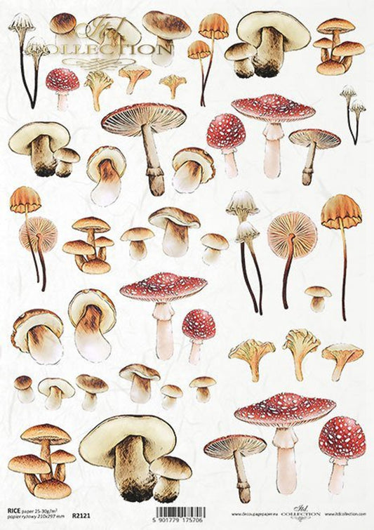 Mushrooms (2121) Rice Paper- ITD Collection