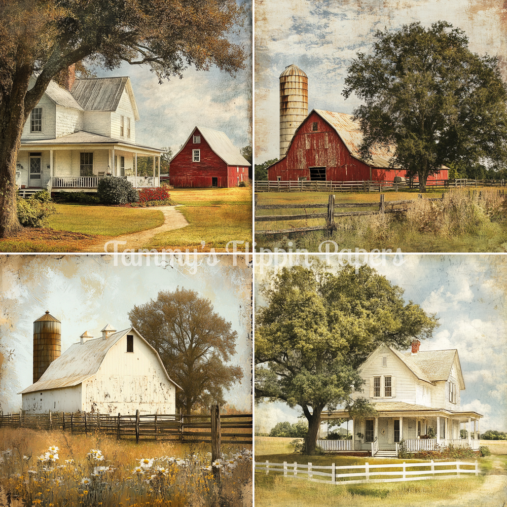 TFP Quad 005 - Rural Roots