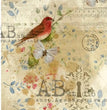 Cardinal Rule (#0408) Rice Paper- AB Studios