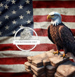 The Eagle Rice Paper (DC318)- Decoupage Central