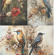 Dramatic Birds Quad (#95) Rice Paper- Carte Italiano