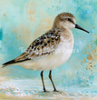 Shorebird Blue Tissue Paper - Flippin Furniture