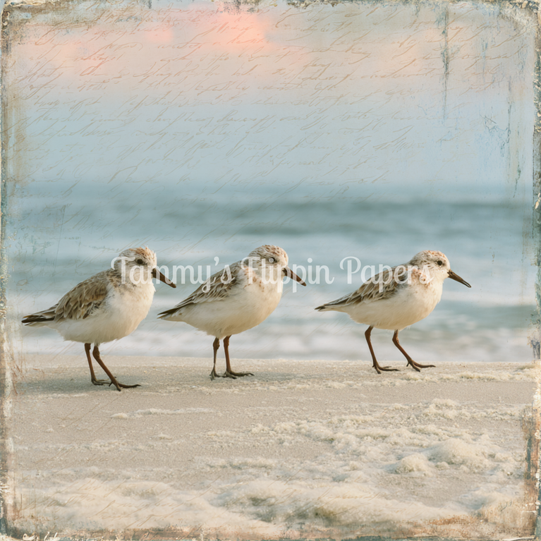 Shoreline Trio Tissue Paper - Flippin Furniture