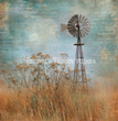 The Old Windmill Tissue Paper - Flippin Furniture