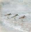 Three by the Sea Tissue Paper - Flippin Furniture