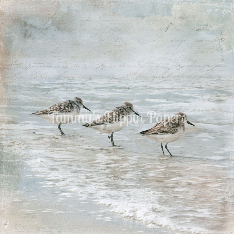 Three by the Sea Tissue Paper - Flippin Furniture