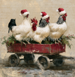 Christmas Coop Tissue Paper - Flippin Furniture