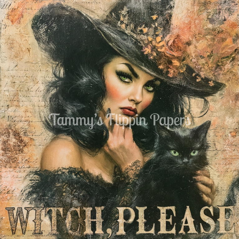 Black Cat Attitude Tissue Paper - Flippin Furniture