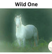 Wild One Decoupage Paper - Painting Lady Designs